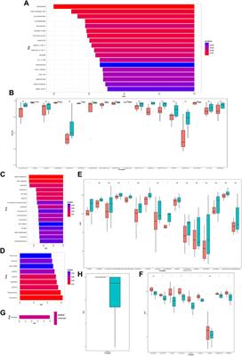 Identification and validation of a novel cuproptosis-related genes signature associated with prognosis, clinical implications and immunotherapy of hepatocellular carcinoma